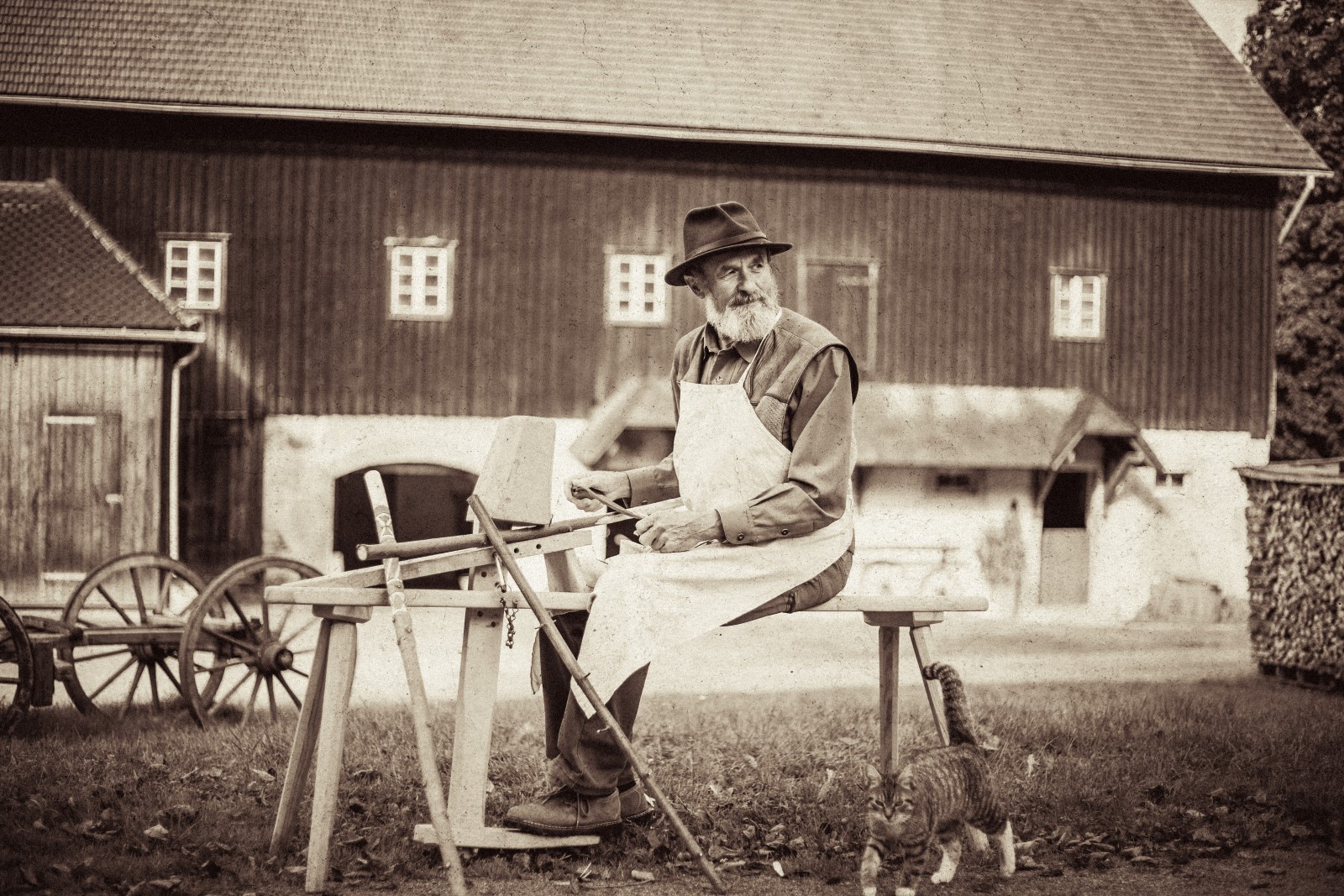 IMG_9849-Bearbeitet-2 (Andere).JPG