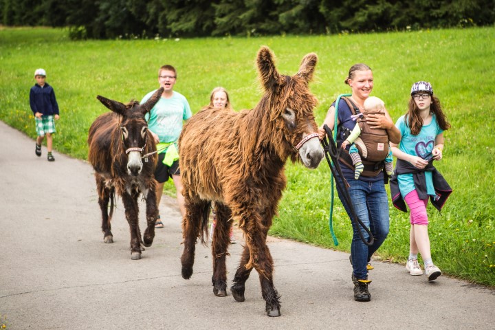 IMG_3987 (Small).JPG