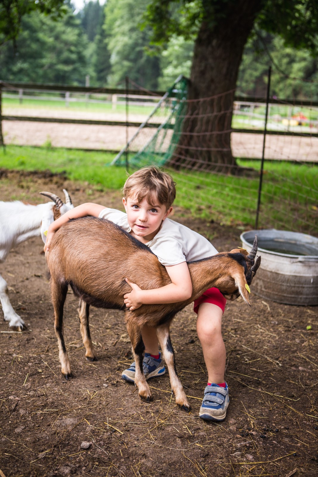 IMG_4051 (Andere).JPG