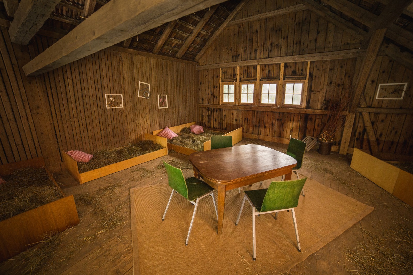 IMG_0395 (Andere).JPG