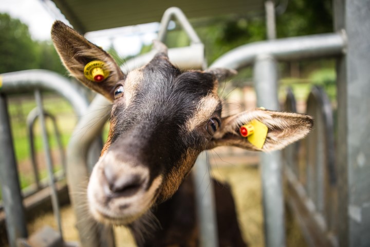 IMG_4043 (Small).JPG